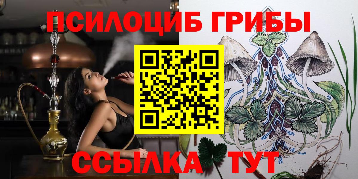 Псилоцибиновые грибы Psilocybine cubensis Хасавюрт