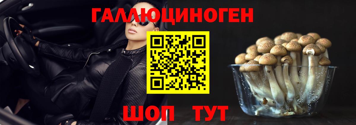 Галлюциногенные грибы Psilocybe  Вход с VPN  Хасавюрт 